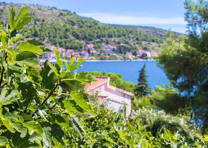 Daire 7 Olives Rogoznica (Sibenik-Knin)